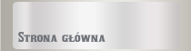 Strona główna